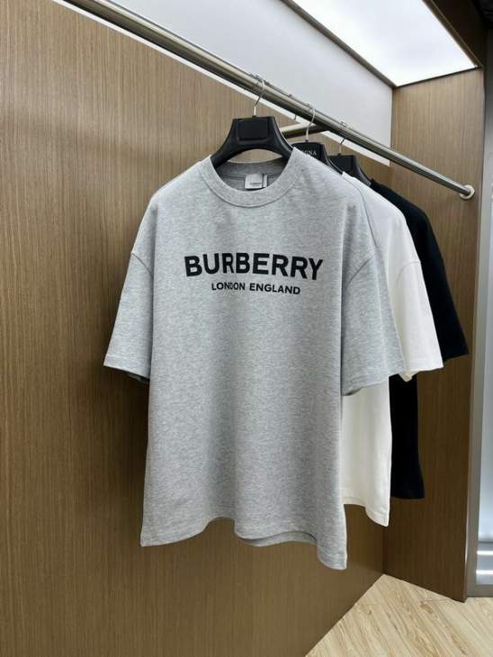 Picture of Burberry T Shirts Short _SKUBurberryS-XLtltx9719451